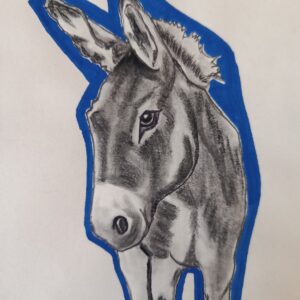 sketch donkey