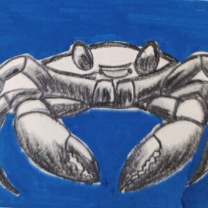 sketch of a crab