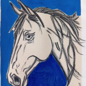 sketch horse