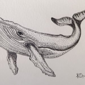 sketch of a whale