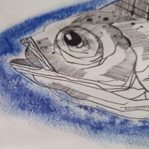 sketch pufferfish