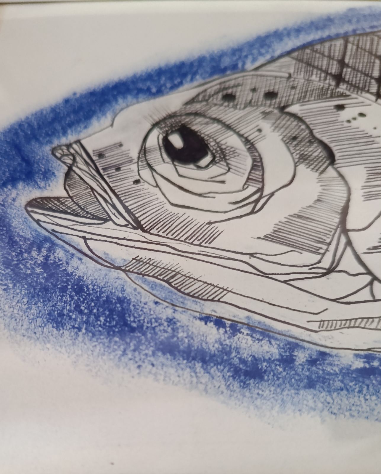 sketch